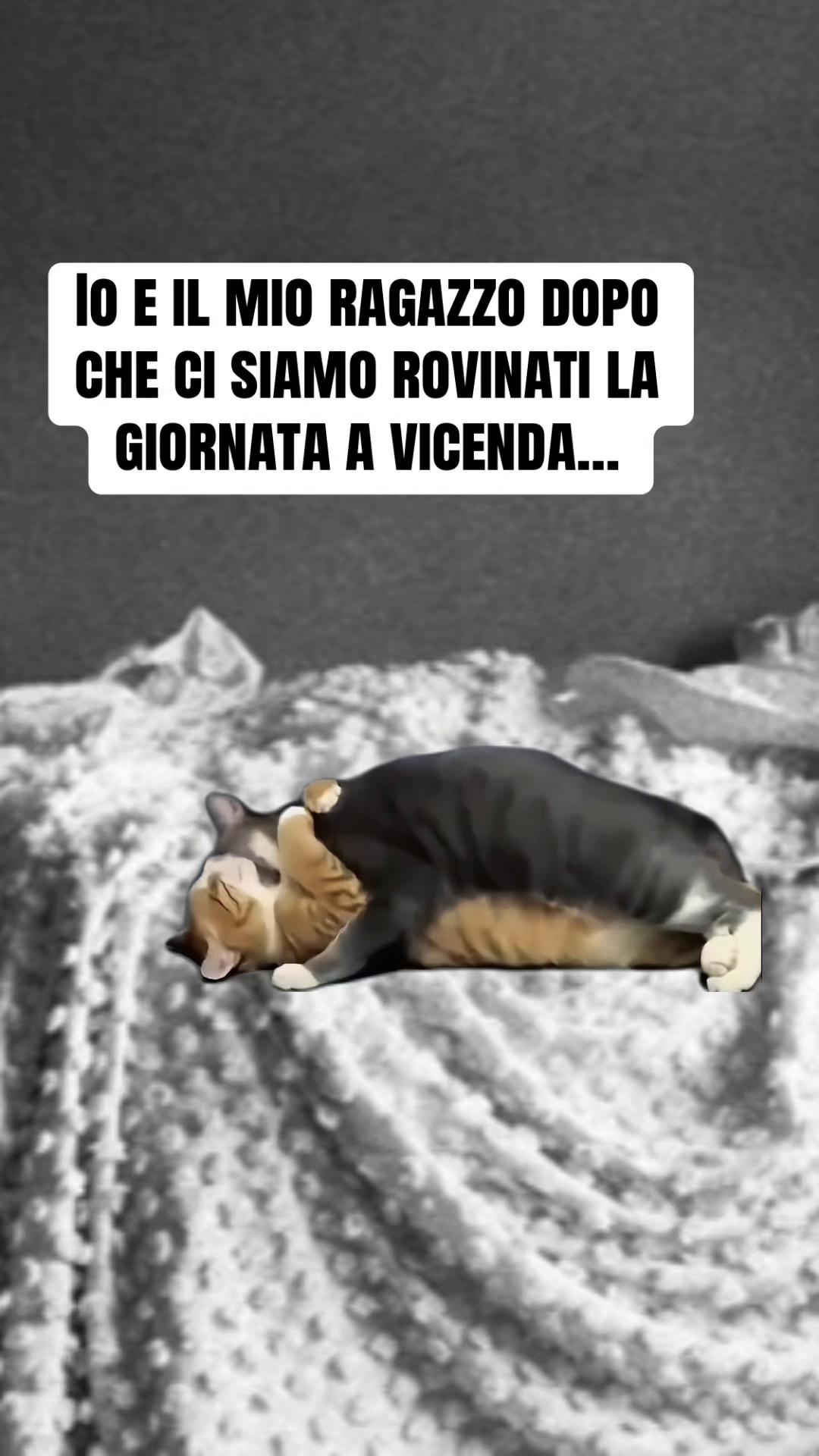 @Natascia Laura