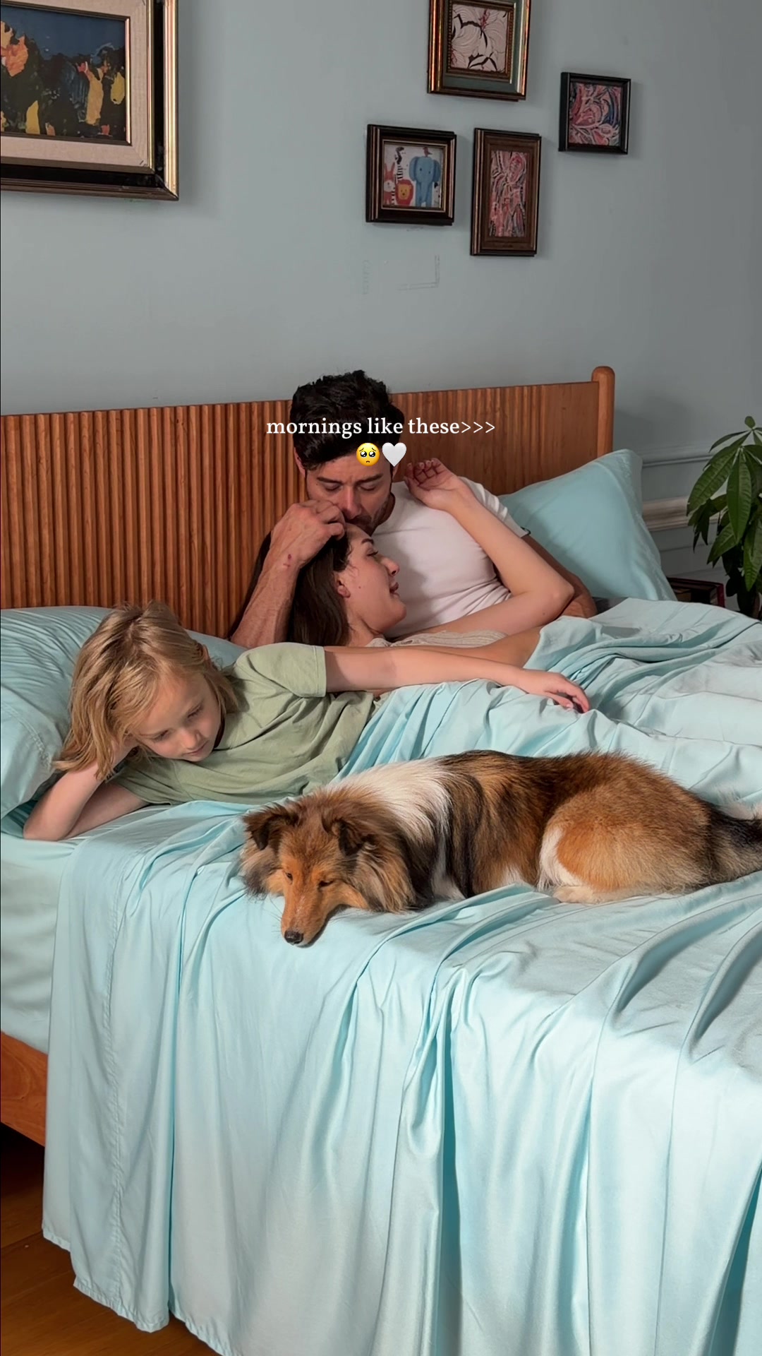 @Bedsure