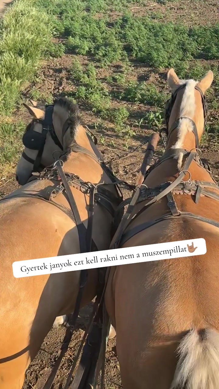 @Dianaaa