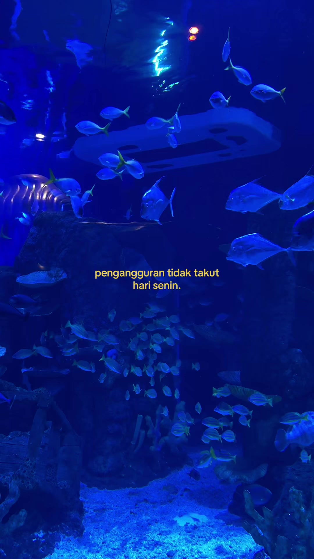 @Gamon