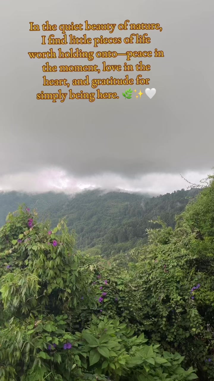 @Singhbamtanuja