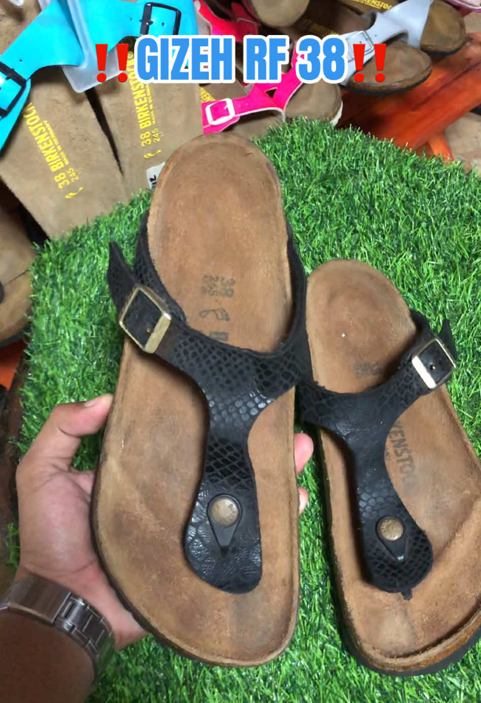 @DAILY BIRKS