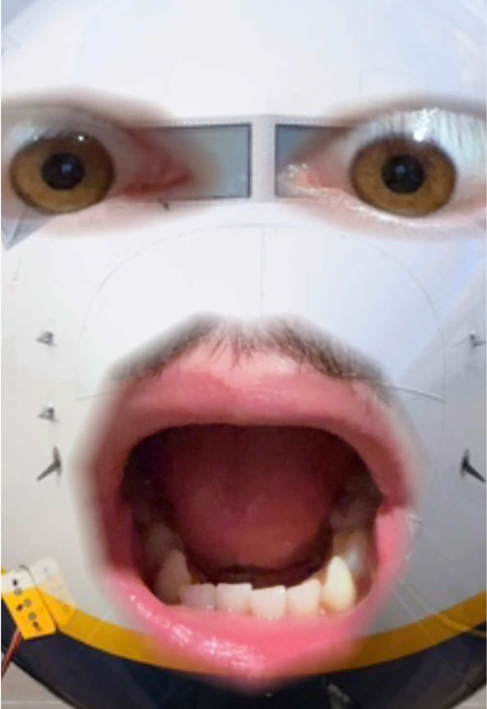 @Ryanair