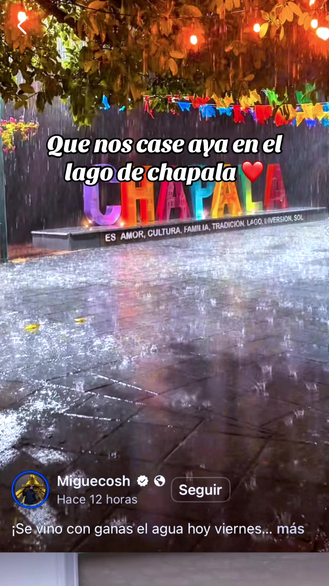 @Los98EU🥷