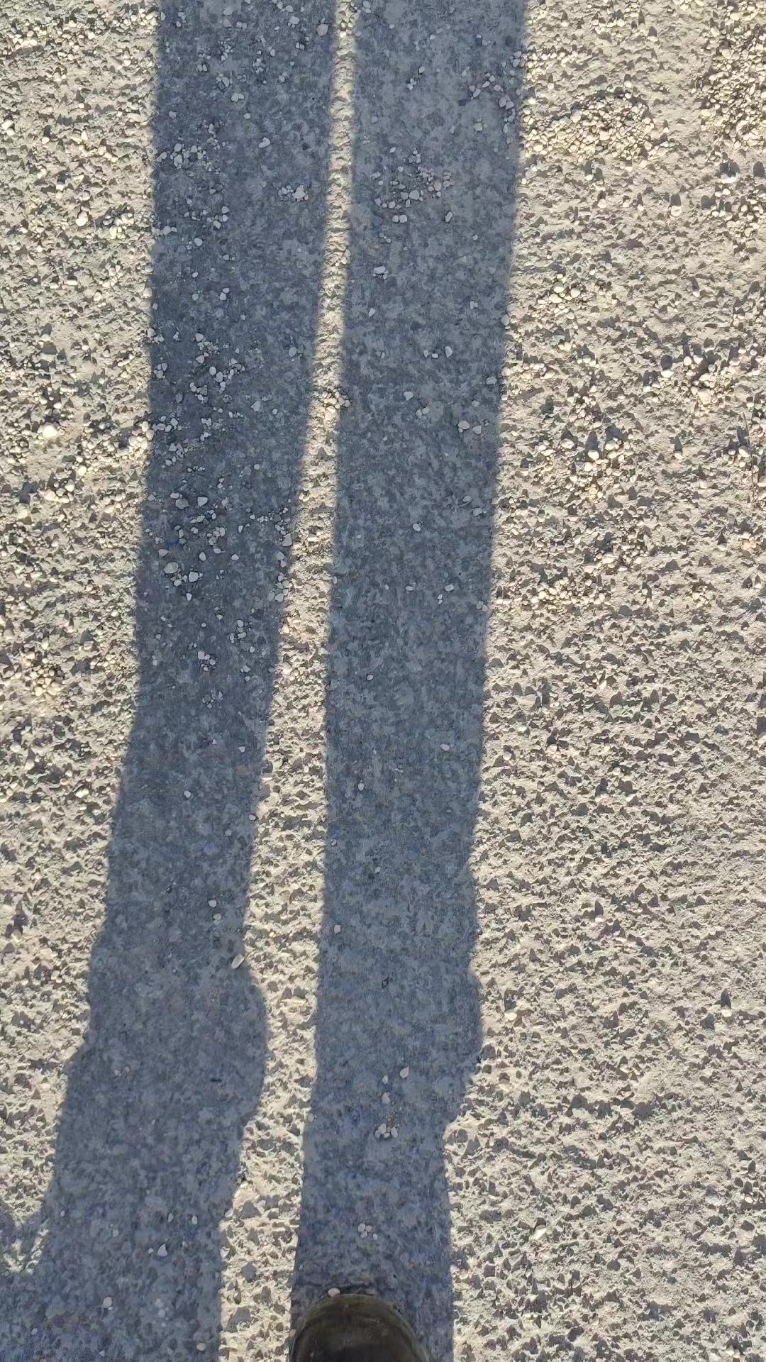 @maselliantonio