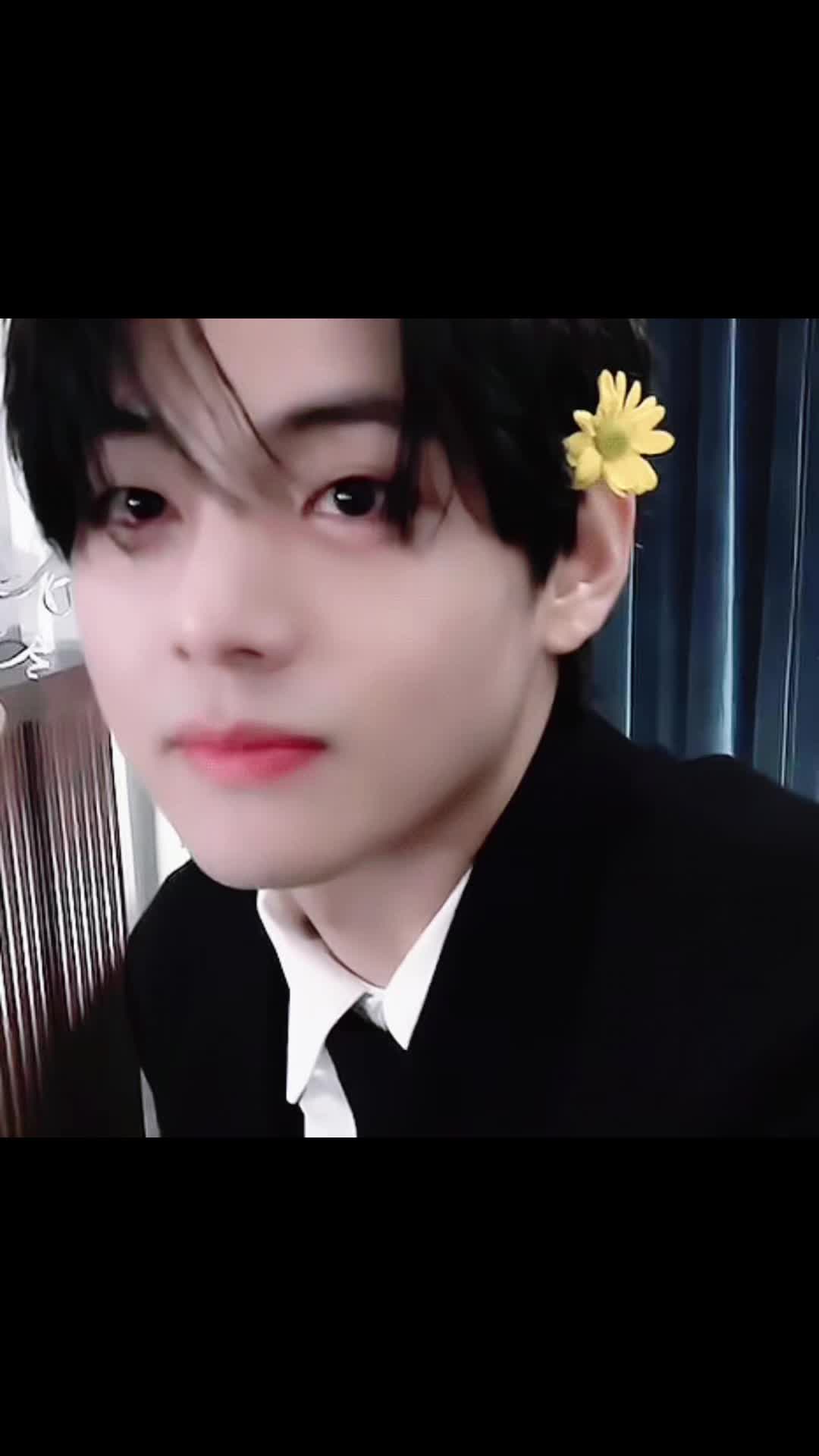 @meow (๑ᵔ⤙ᵔ๑) ⁸ | saw BTS 4/28!