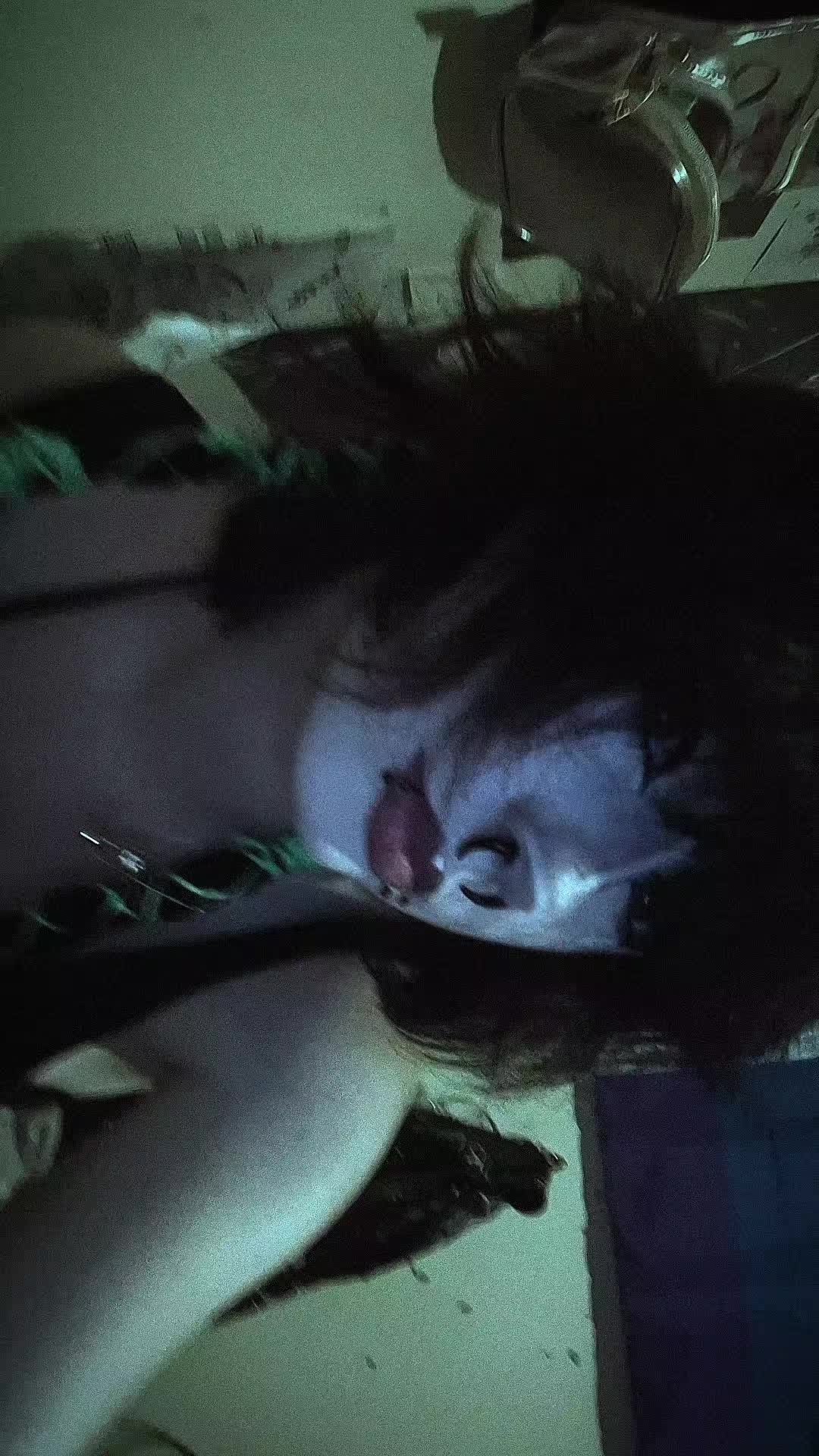 @hevy...⚚🦇✮