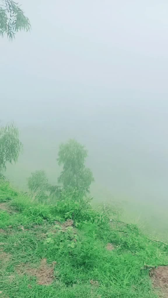 @🐊چوہان صاحب ڈیرےآلے🥷