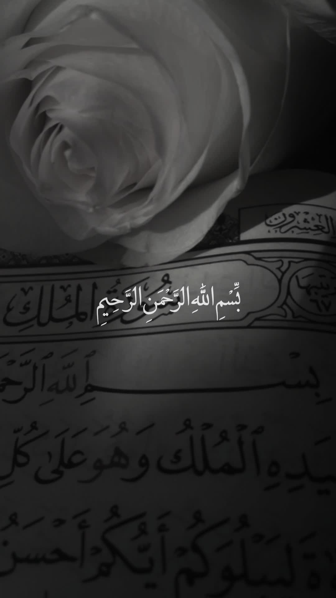 @قائد الغُرِّ المُحَجَّلين