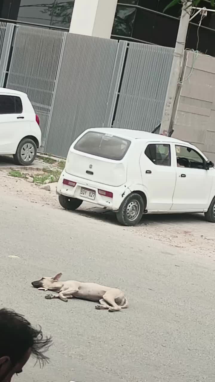 @🌹🌹خان برینڈ 🌹🌹