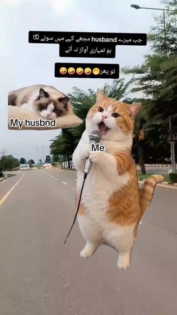@S𝚝yᄂᵢ𝘴𝓱 Gᵢᵣᄂ❤️||