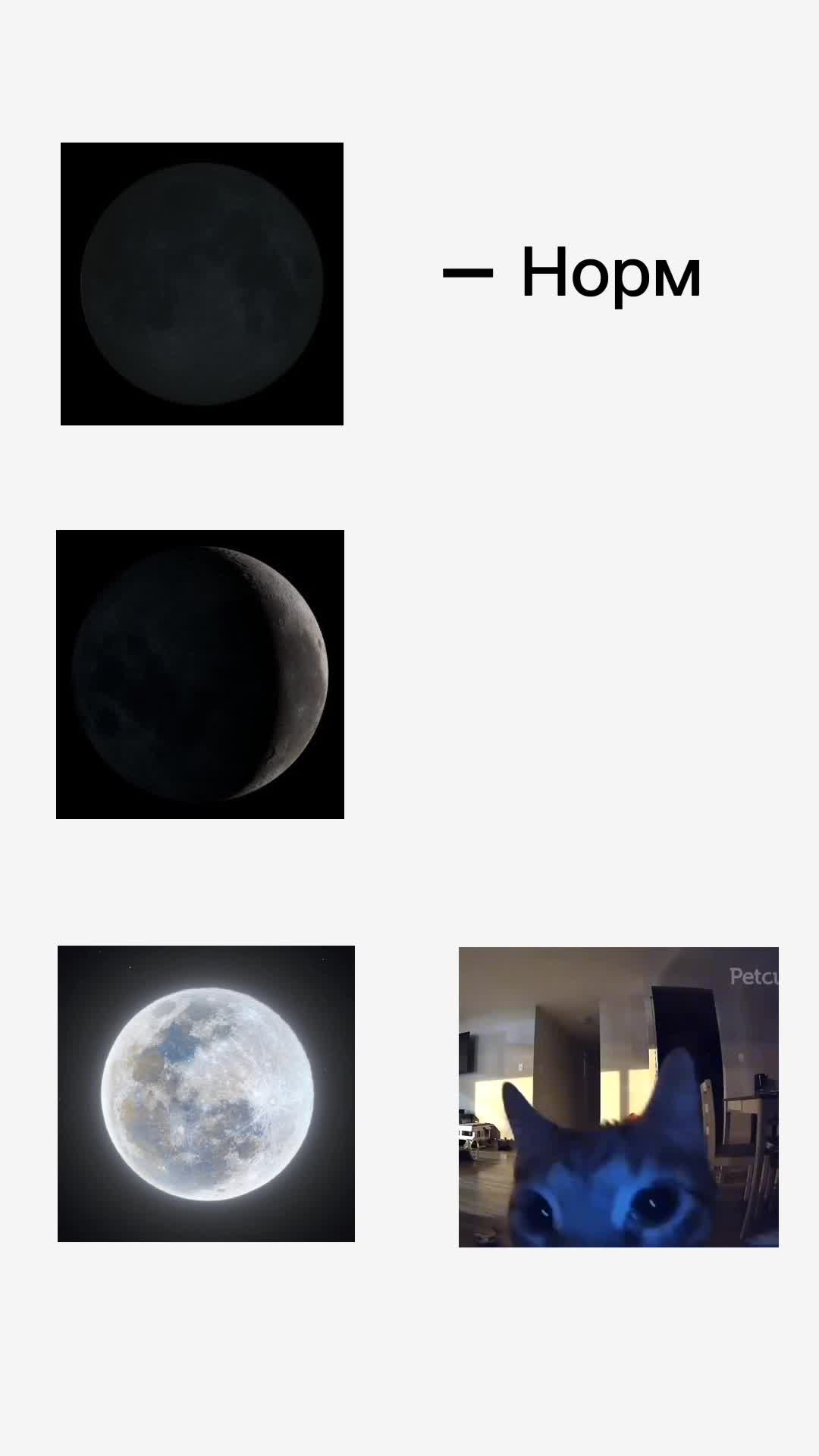 @𝔗 𝔞𝔪 𝔞𝔩𝔦𝔢𝔫 👽🫩
