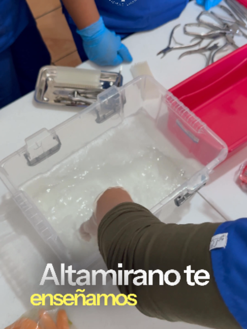 @Instituto Altamirano