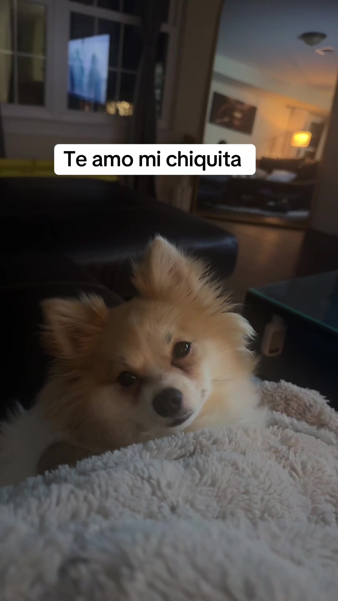@Daniela Casta&ntilde;o