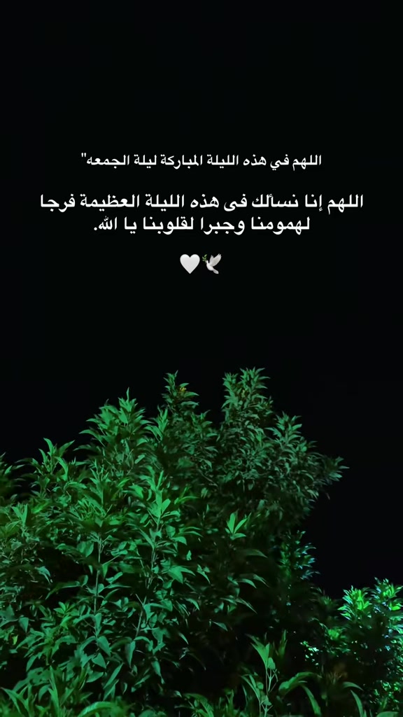 @afeef_al_asmar