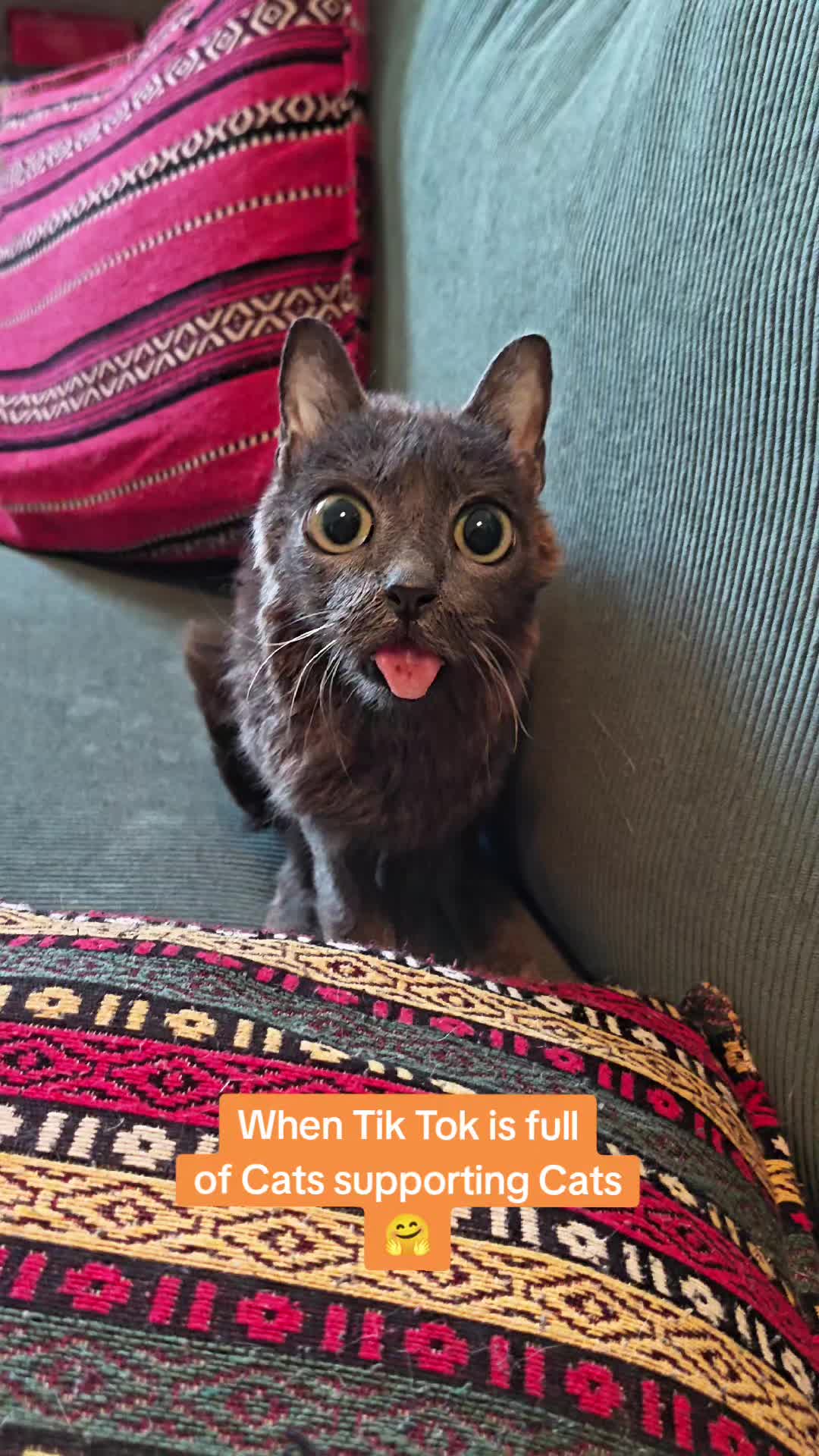 @blu_the_blep