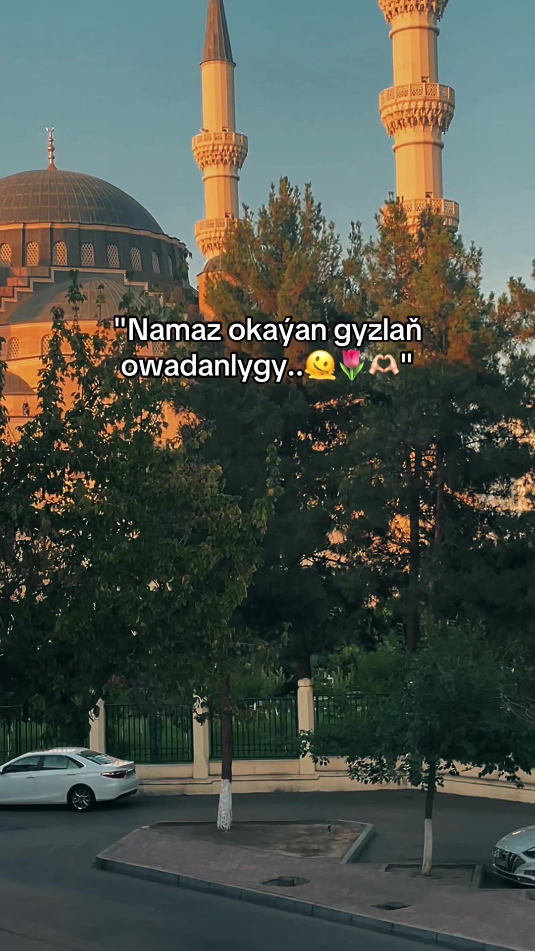 @Amankulyyev