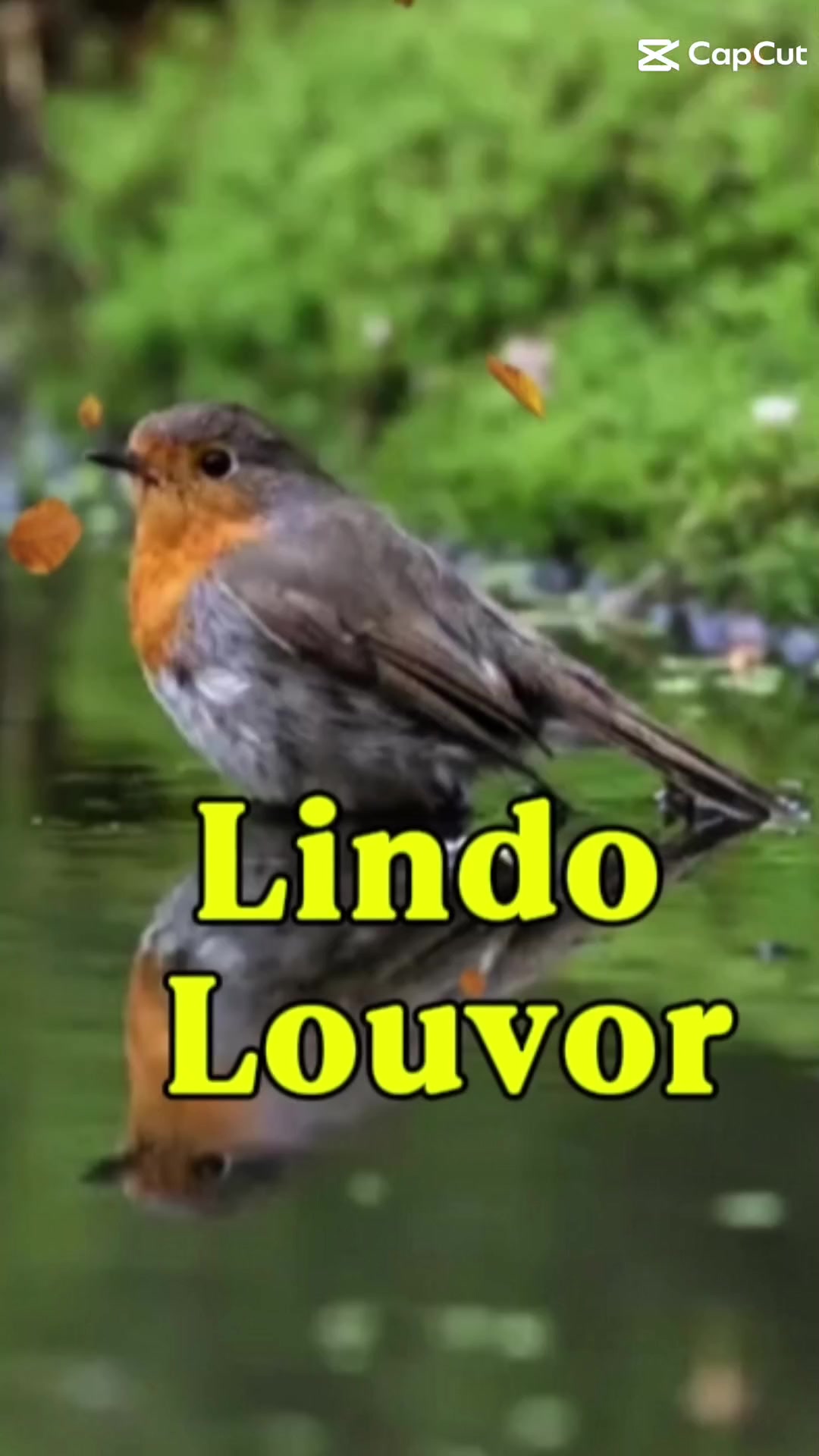 @Lucilia Viscardi