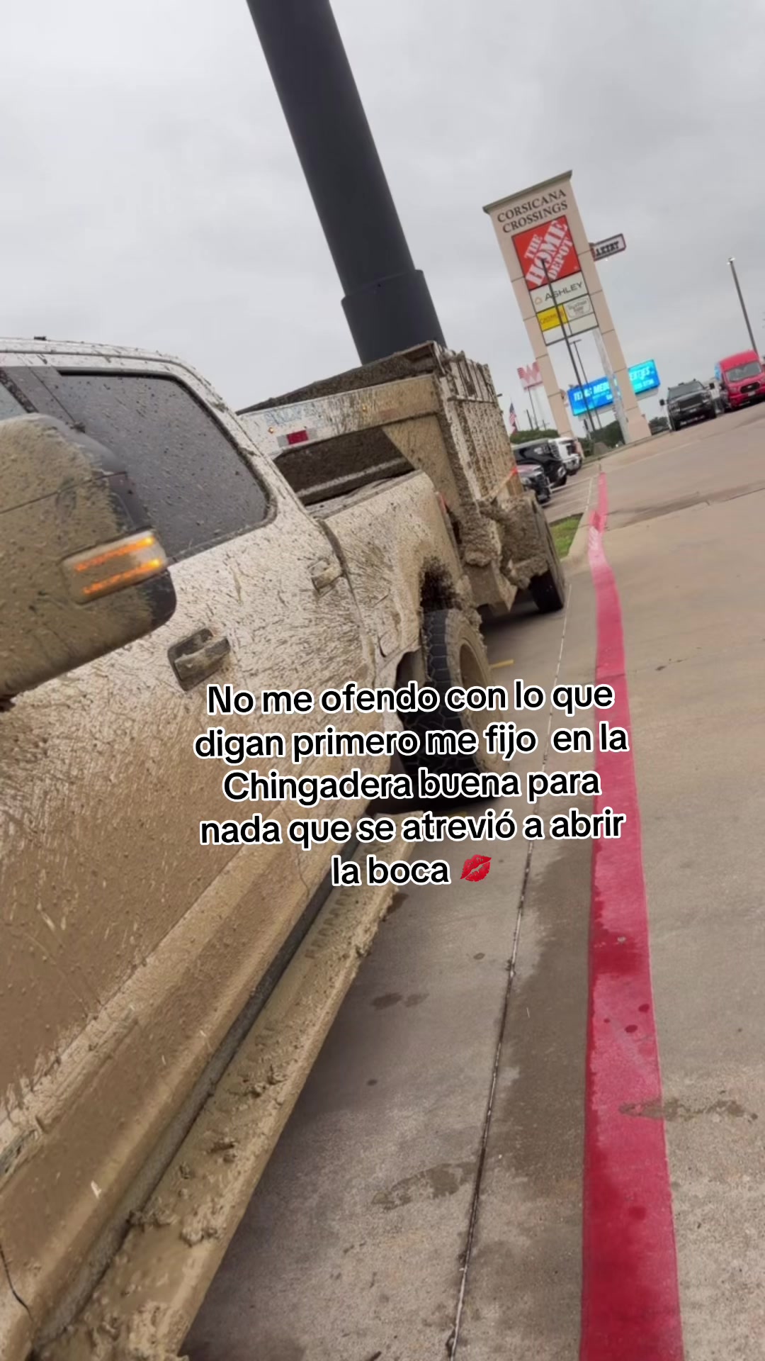 @carolinadua1103