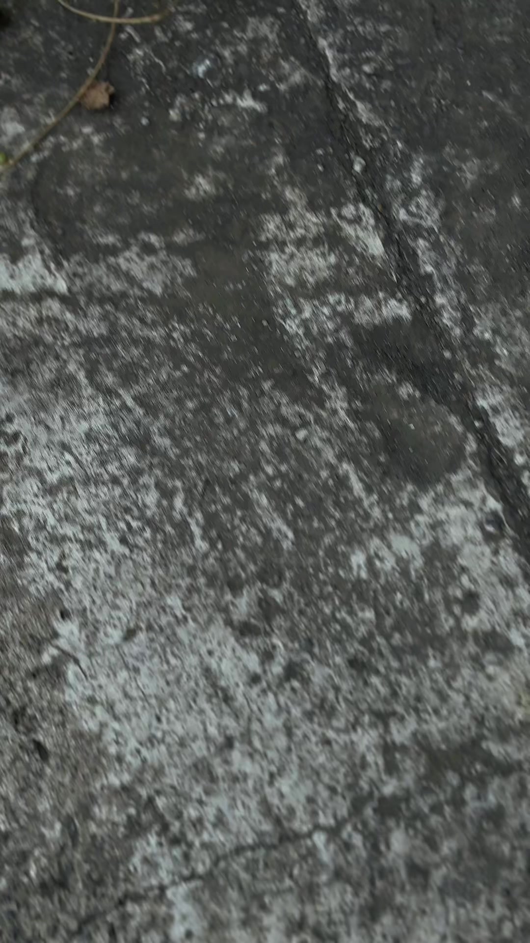 @𝔸𝕃ℙ𝔼ℕ𝕃𝕀𝔼𝔹𝔼🚀