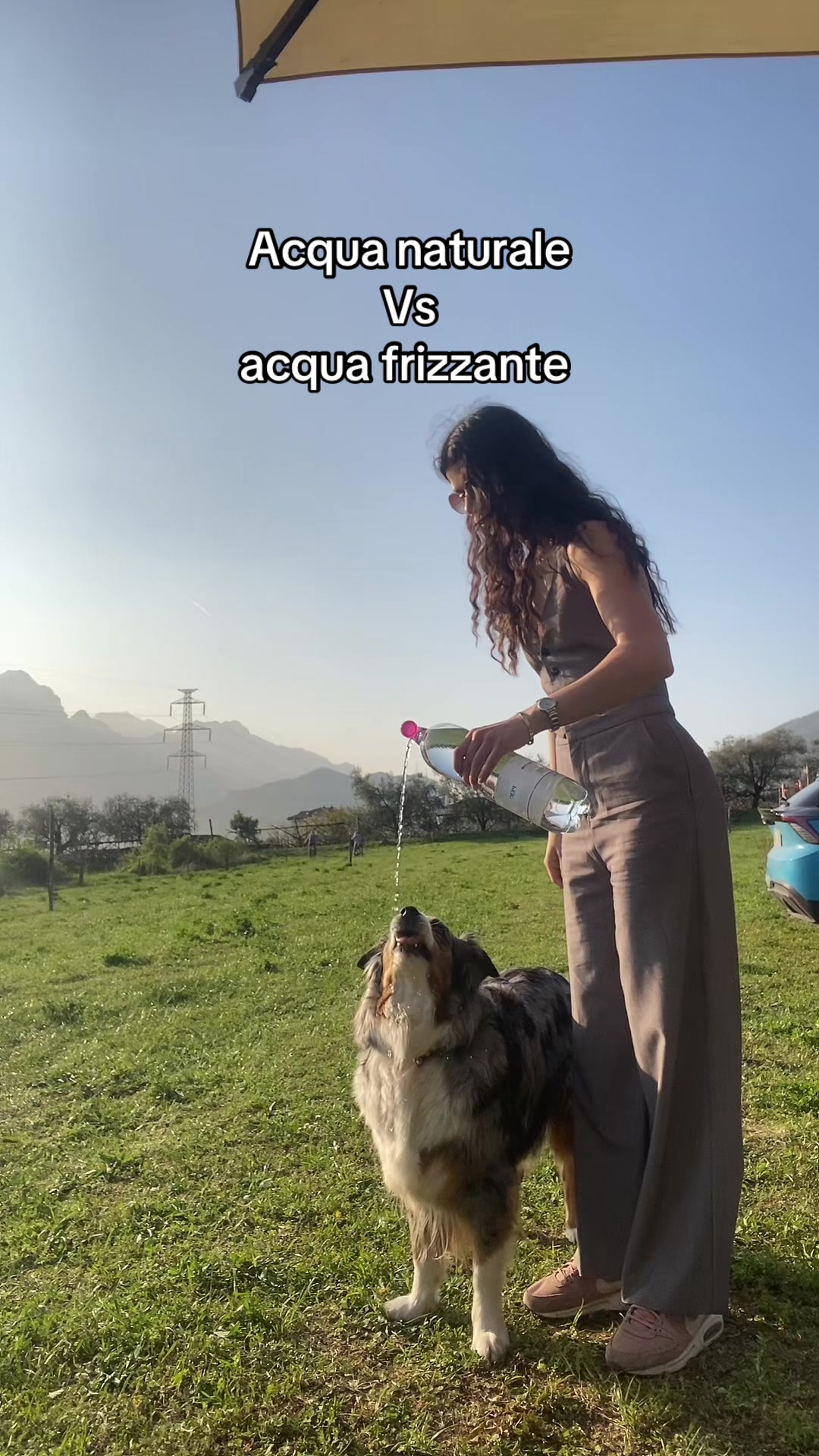 @Elena Angheben
