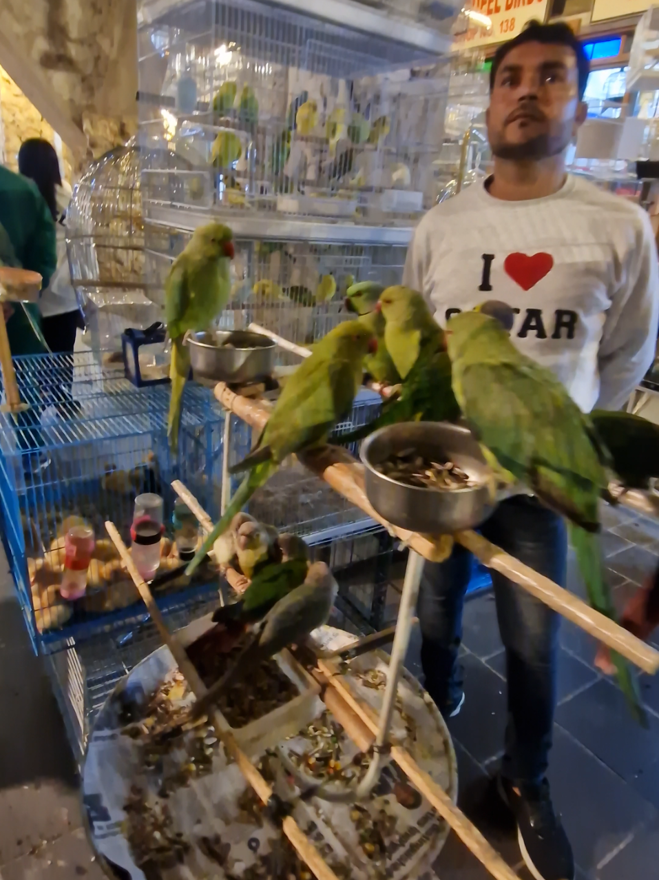 @Pet Lover
