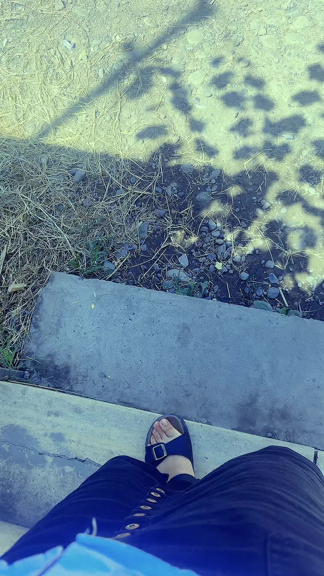 @zamonam
