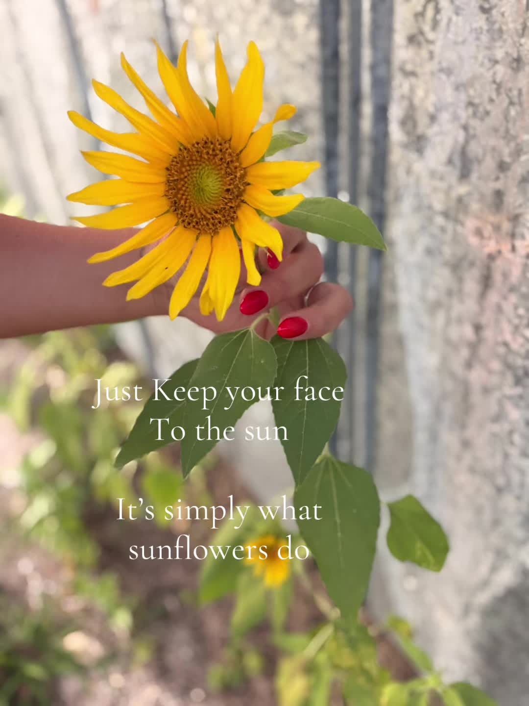 @✨Anna Beck⚡️UGC