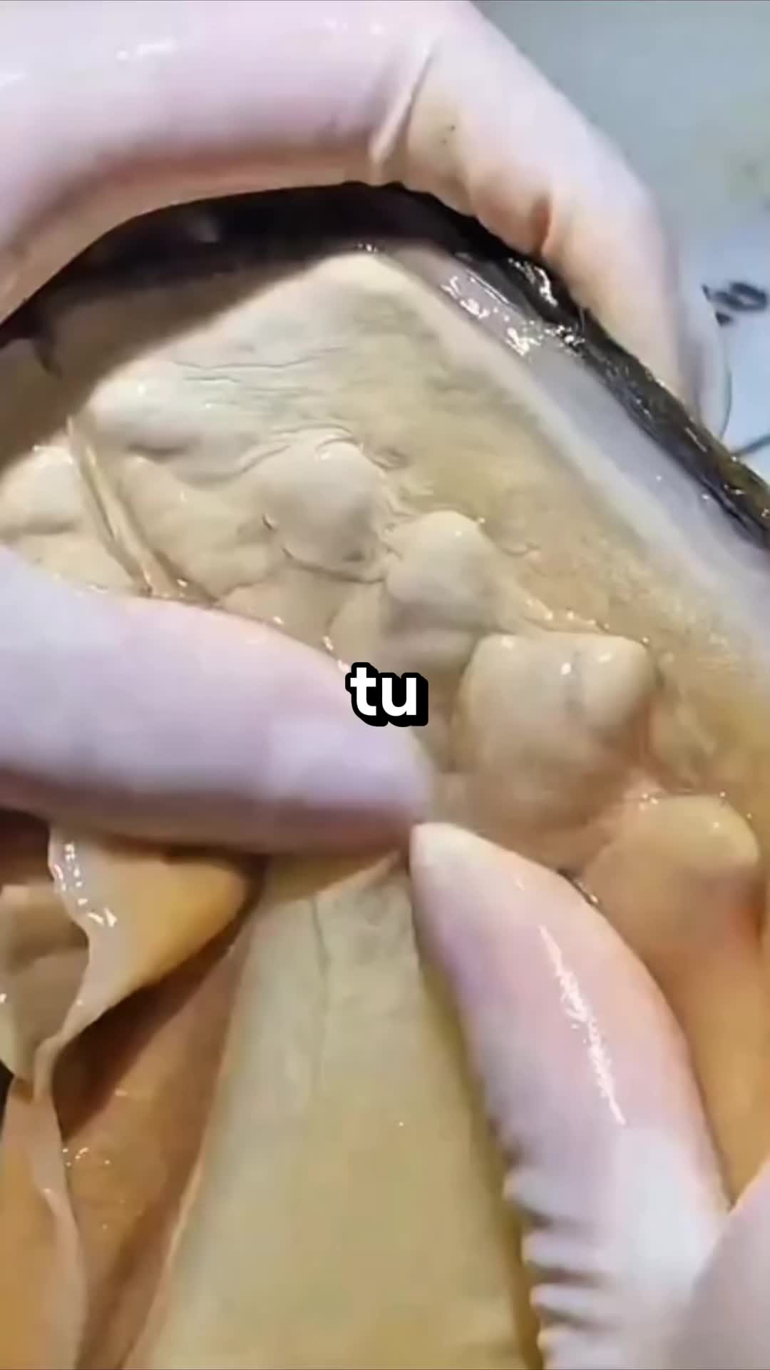 @vitalizate_now