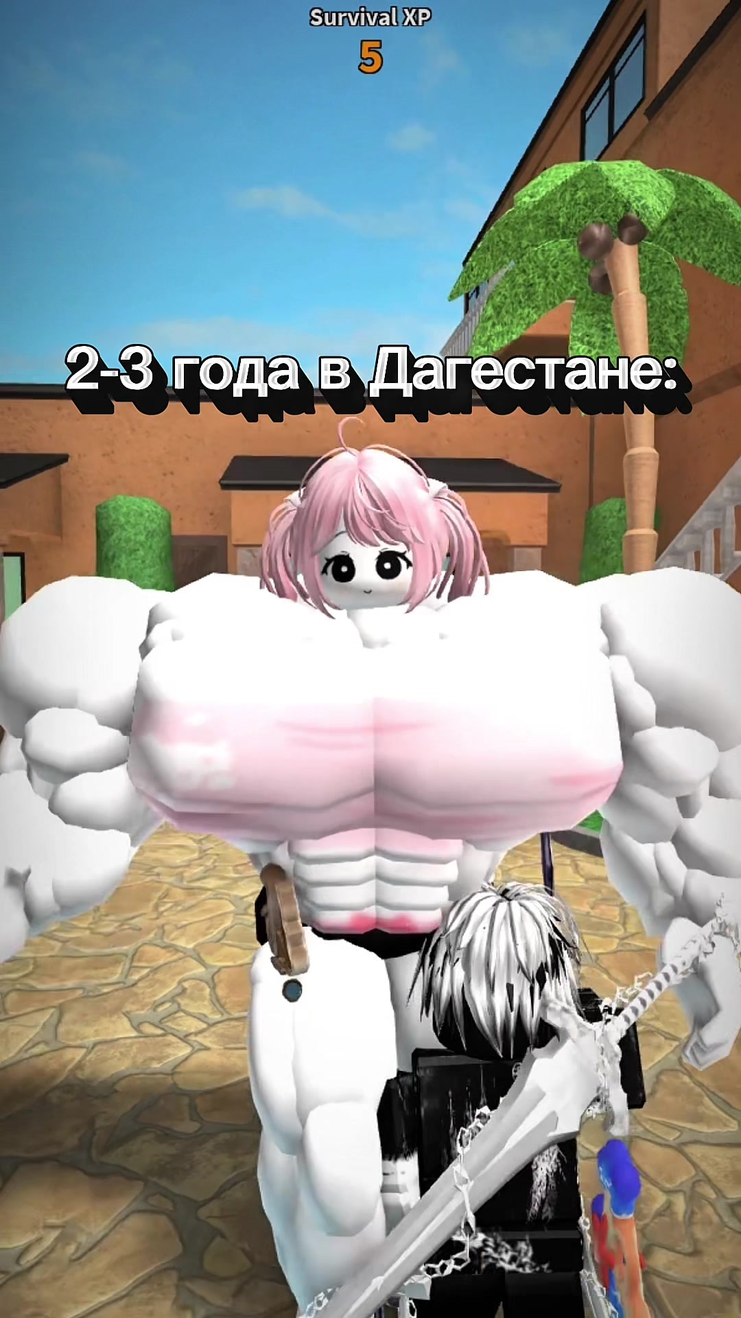 @mislankie