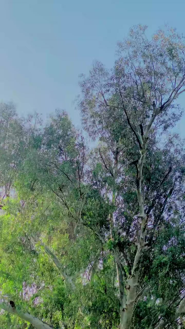 @︻╦デ╤━╼یا مخلص تھی یا یار نہ سڈ