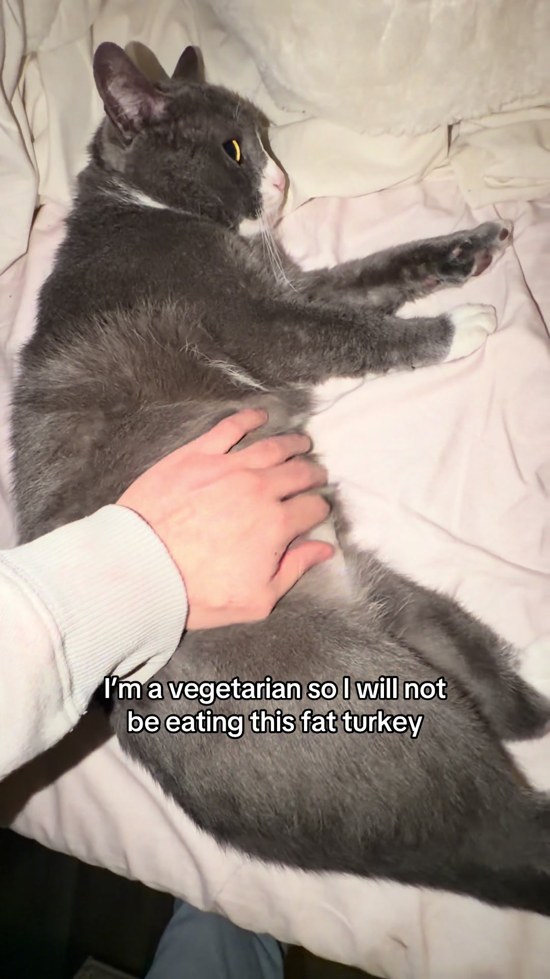 @stinkwalker