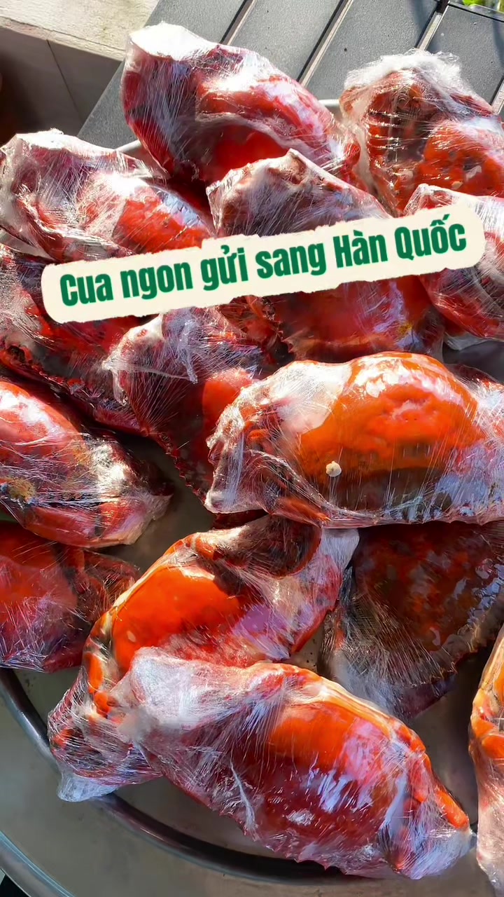 @Tuananh Do