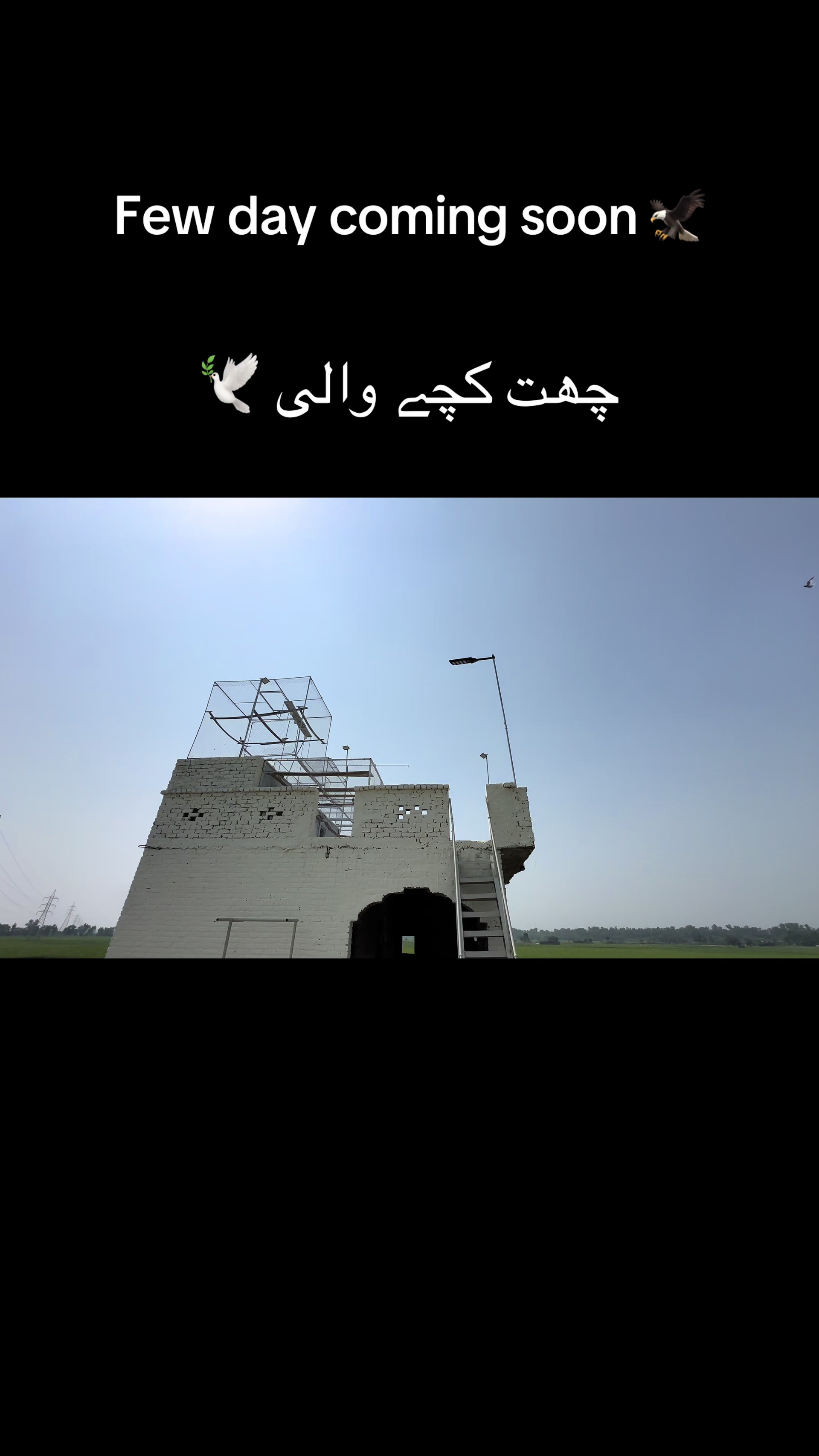 @کا ظم چيمہ 🔰