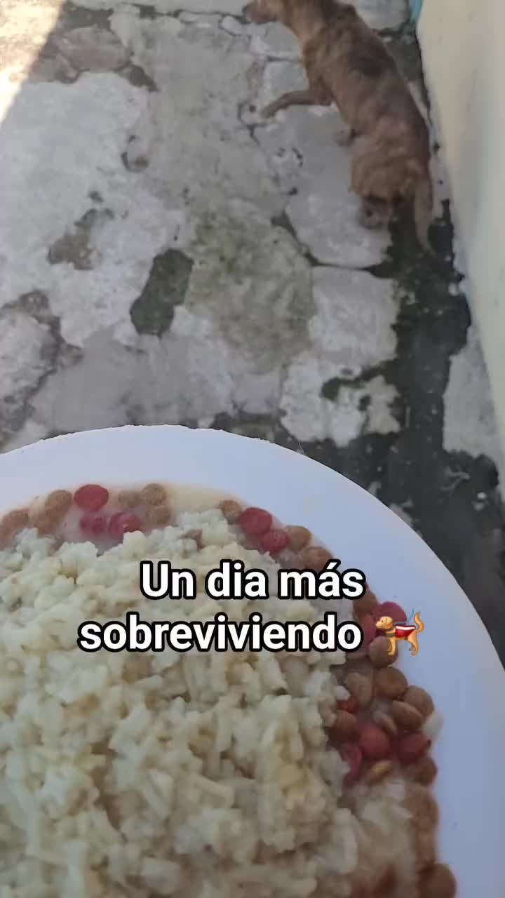 @𝕃𝕚𝕤𝕤 ℝ𝕖yes🇸🇻