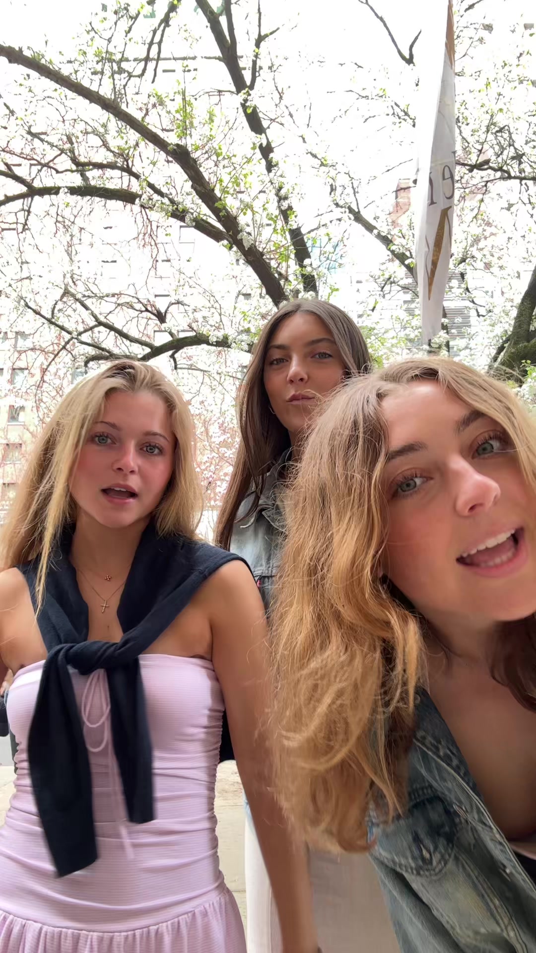 @Emma Kail🦹&zwj;♀️