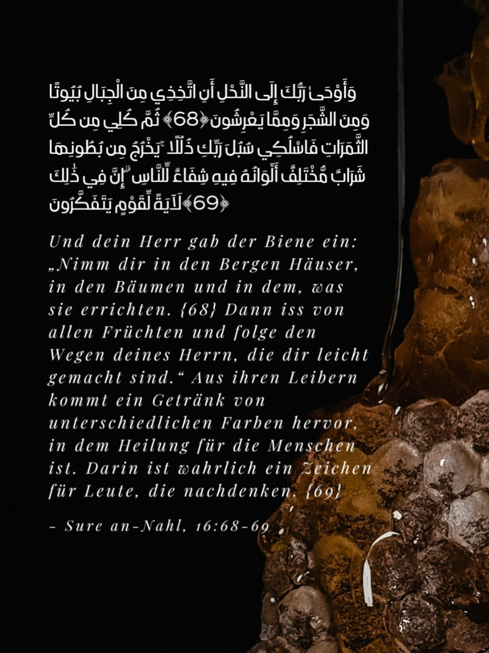 @Koranverse & Hadithe