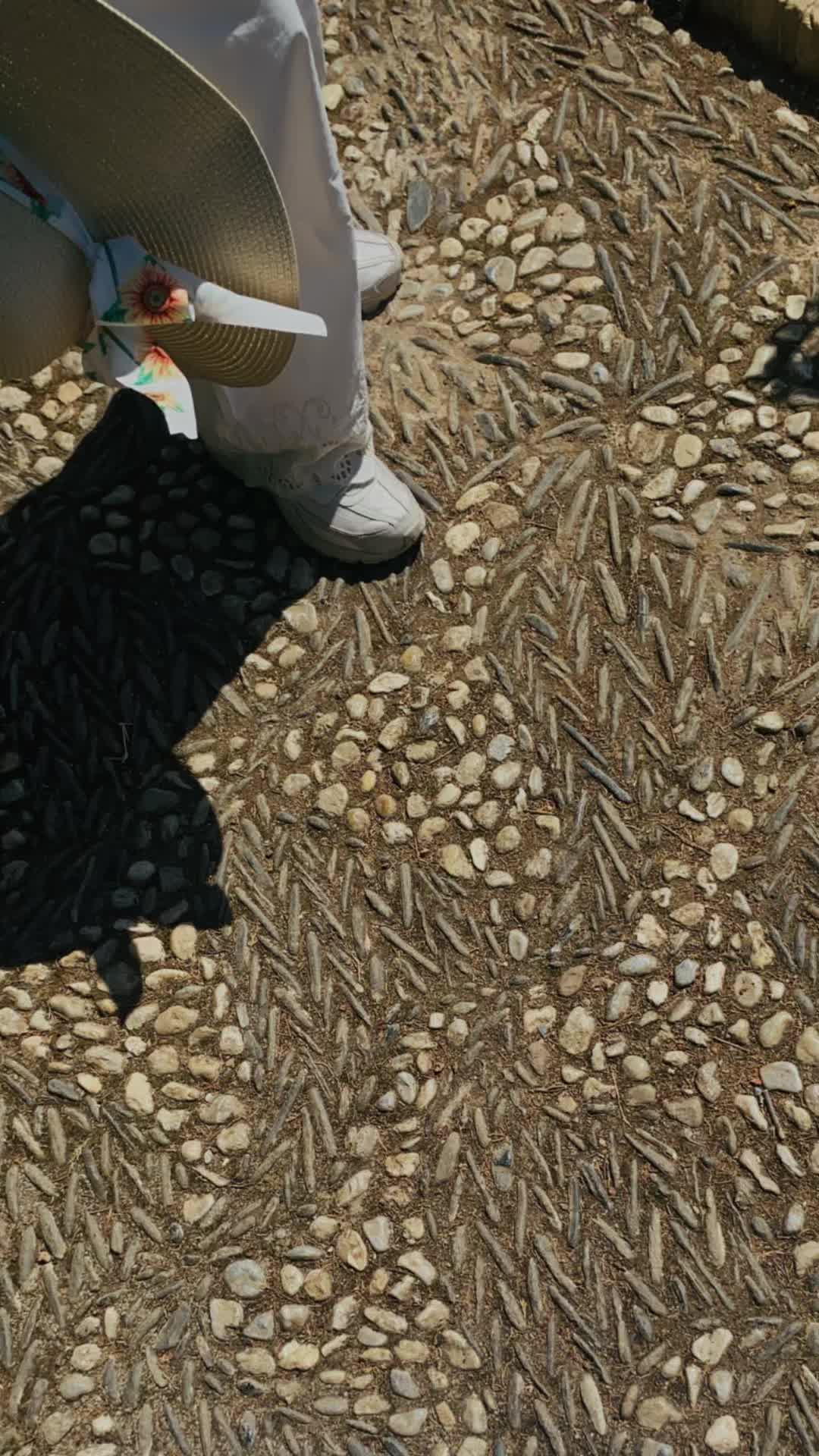 @𑣲