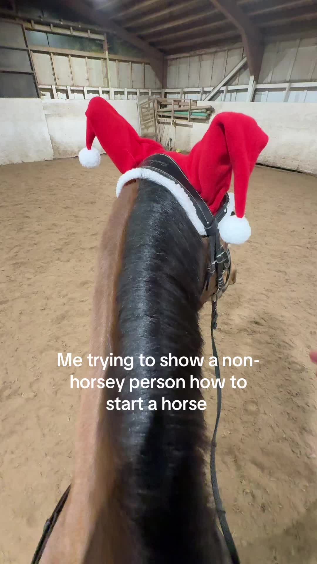 @𝓢𝓮𝓵𝓲𝓷𝓪 ♛