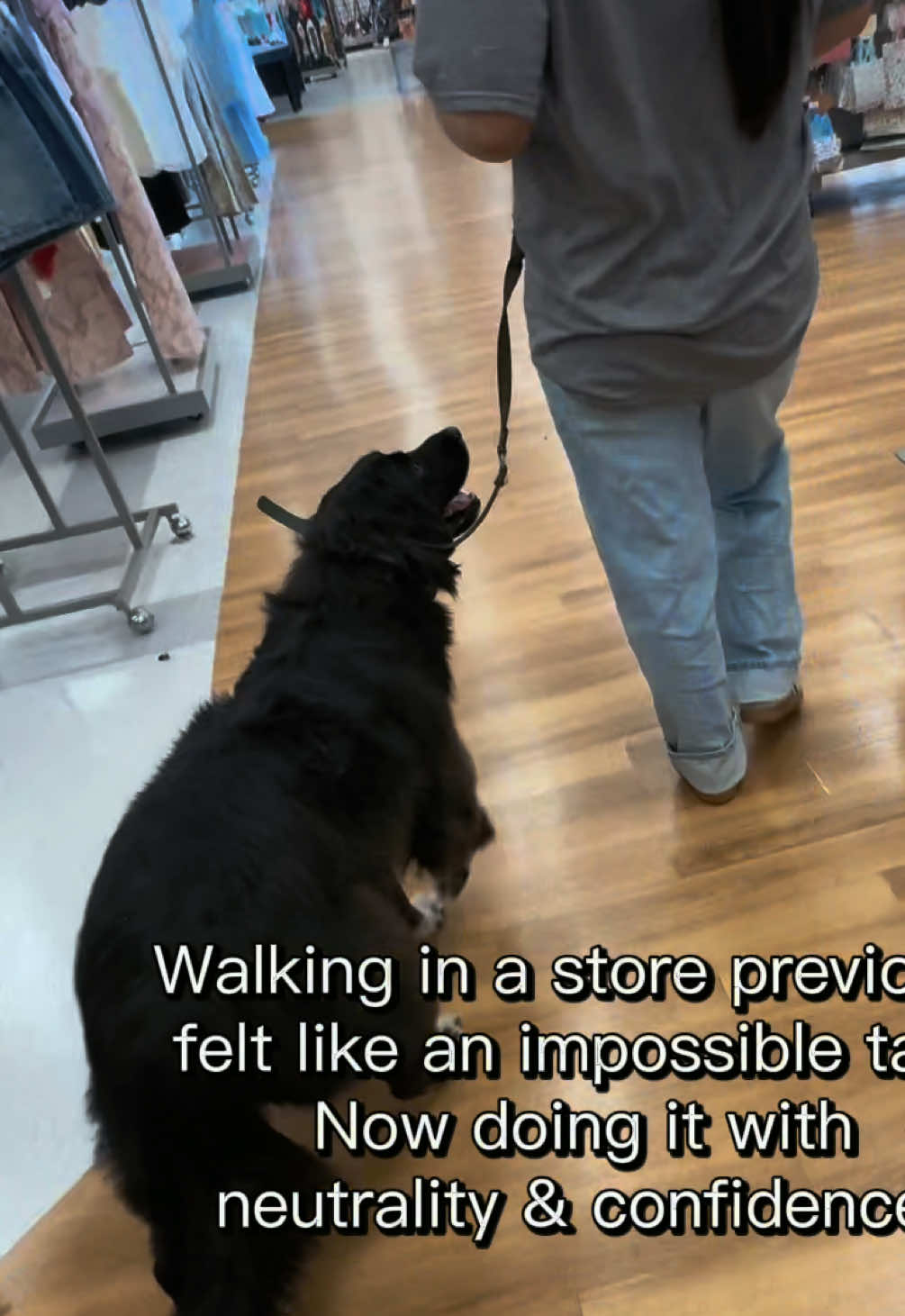 @Kiley - dog trainer