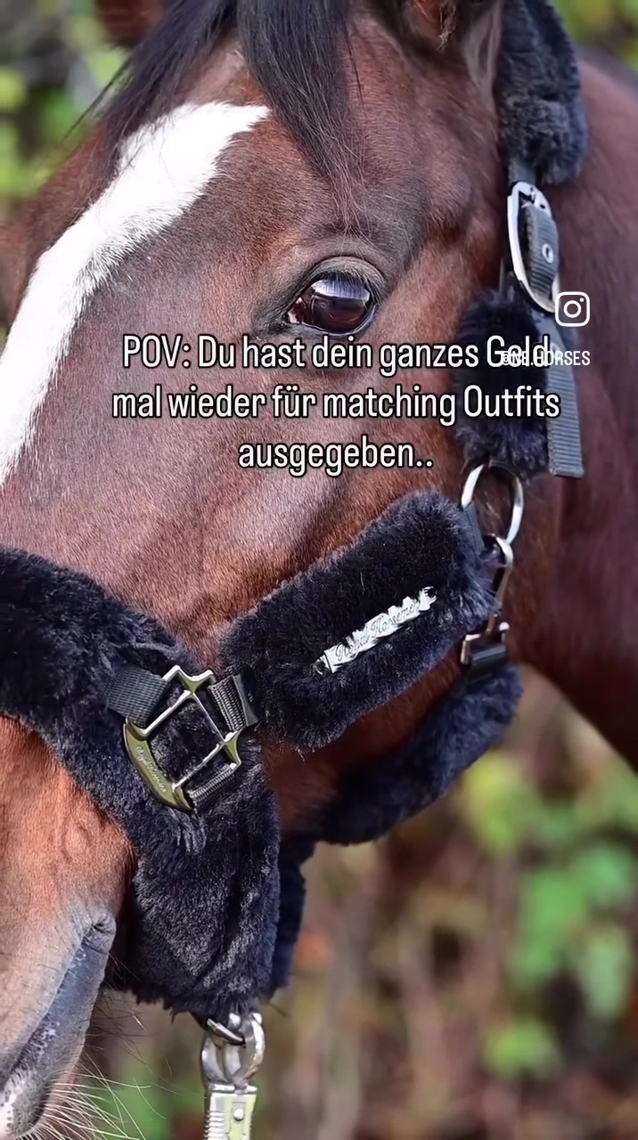 @ne.horses