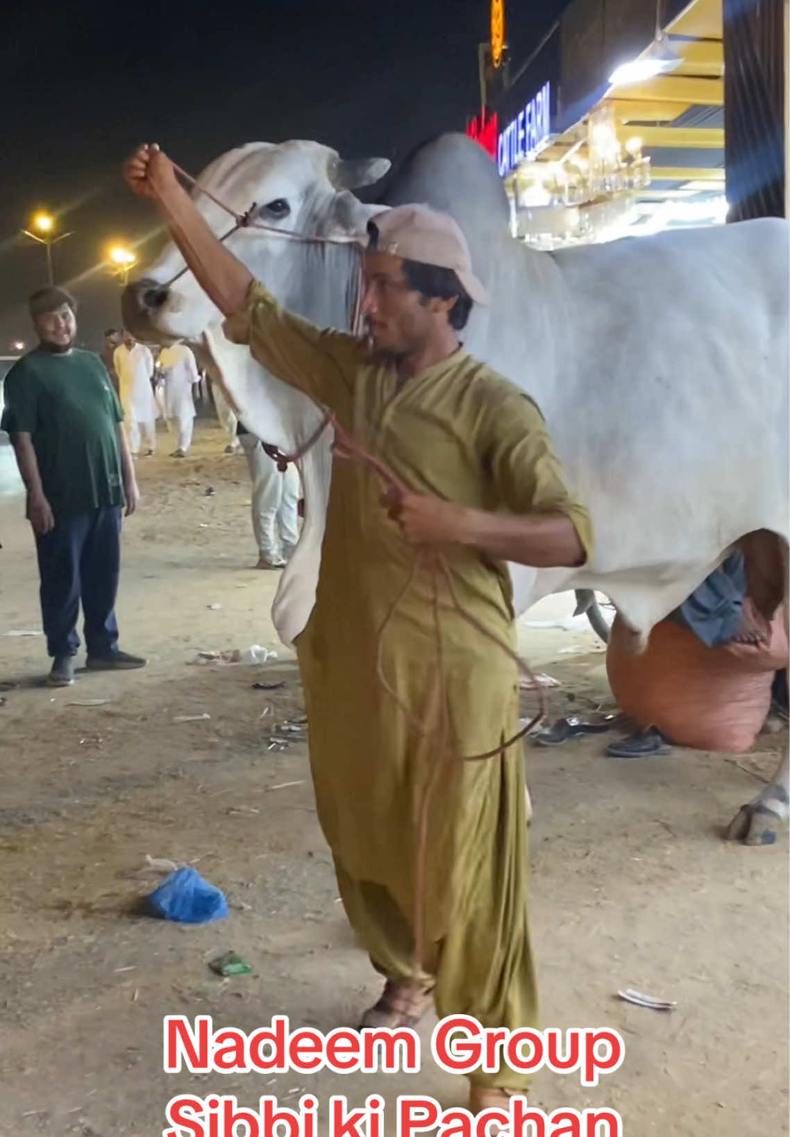 @Karachi Bull lovers