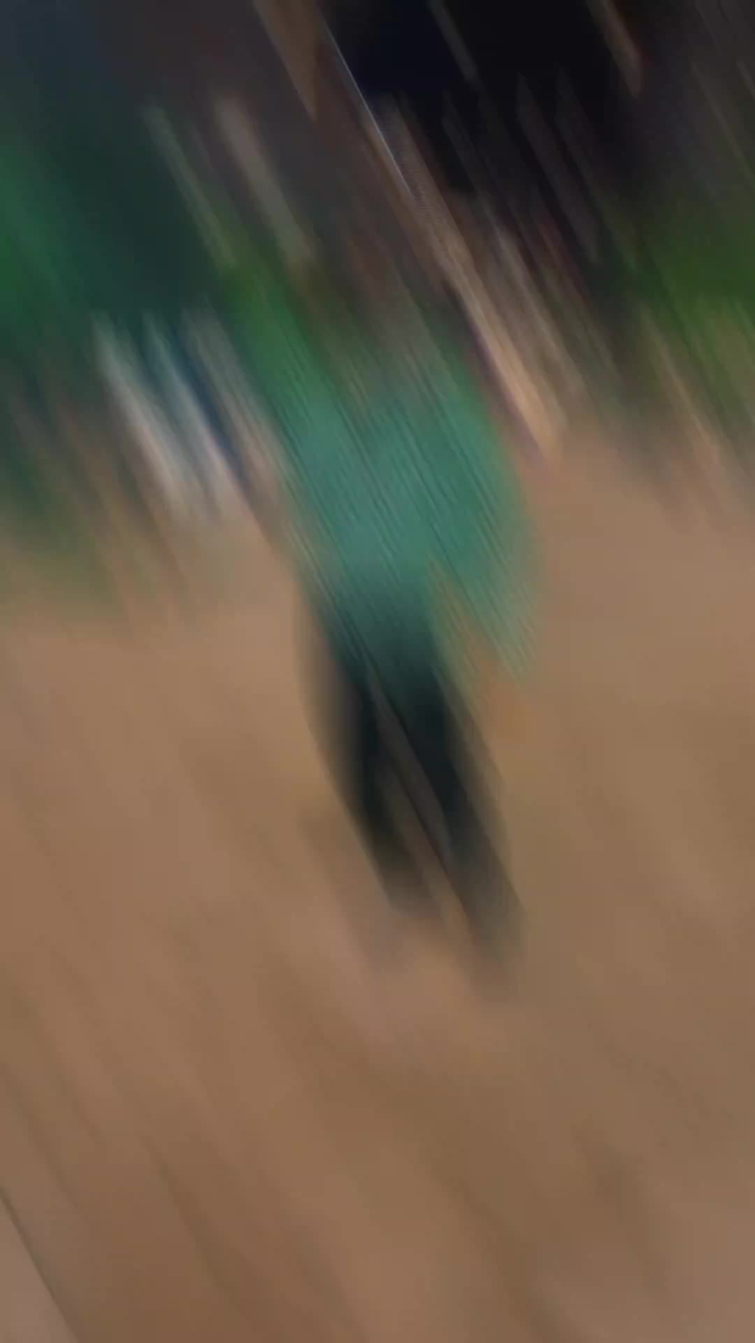 @enyidavid