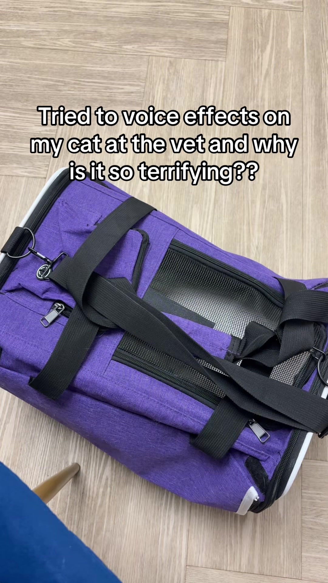@Dani