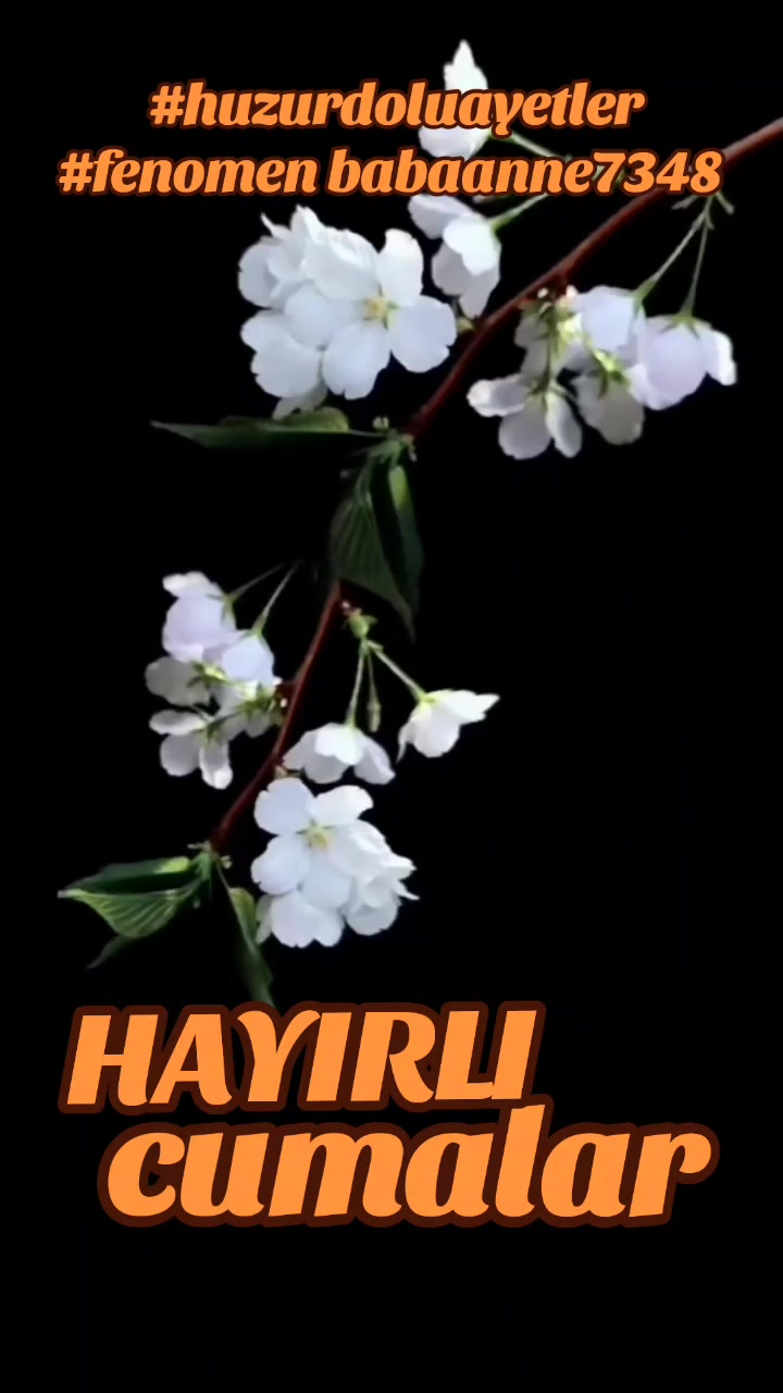 @Fenomenbuyukanne48