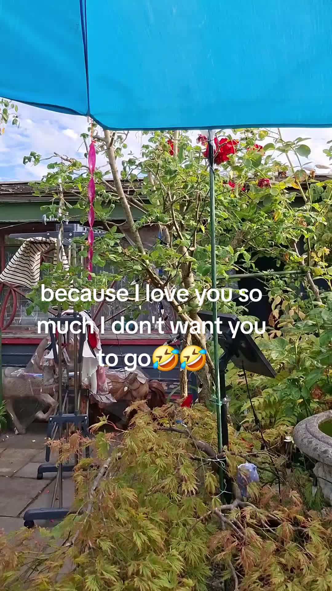 @lolagrams_05