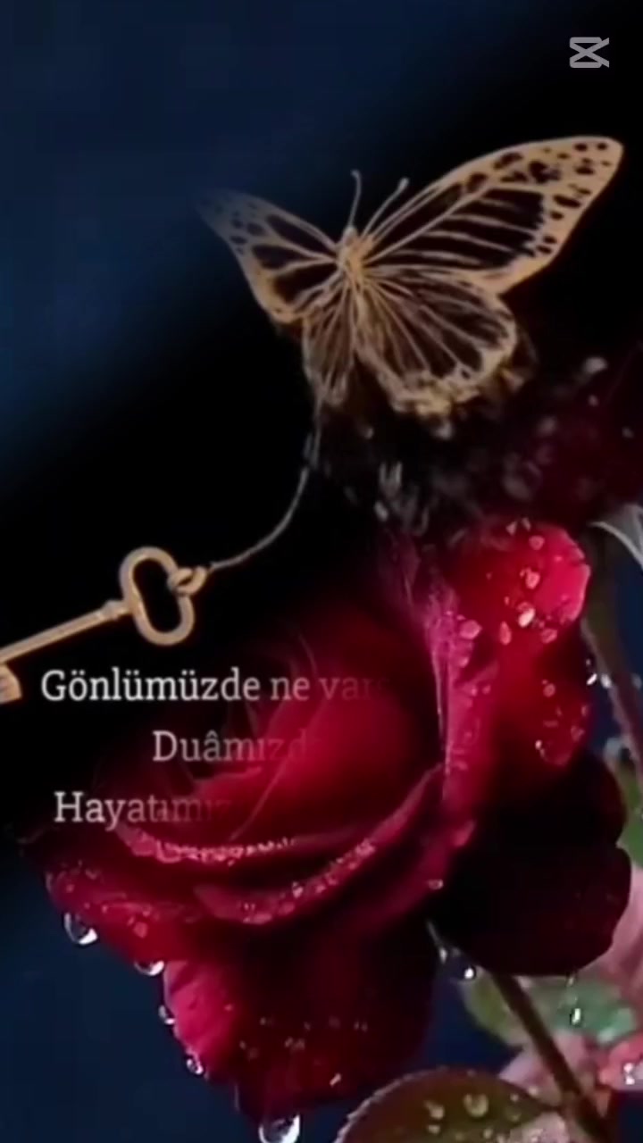 @aynur Kocakaya 280.🤲