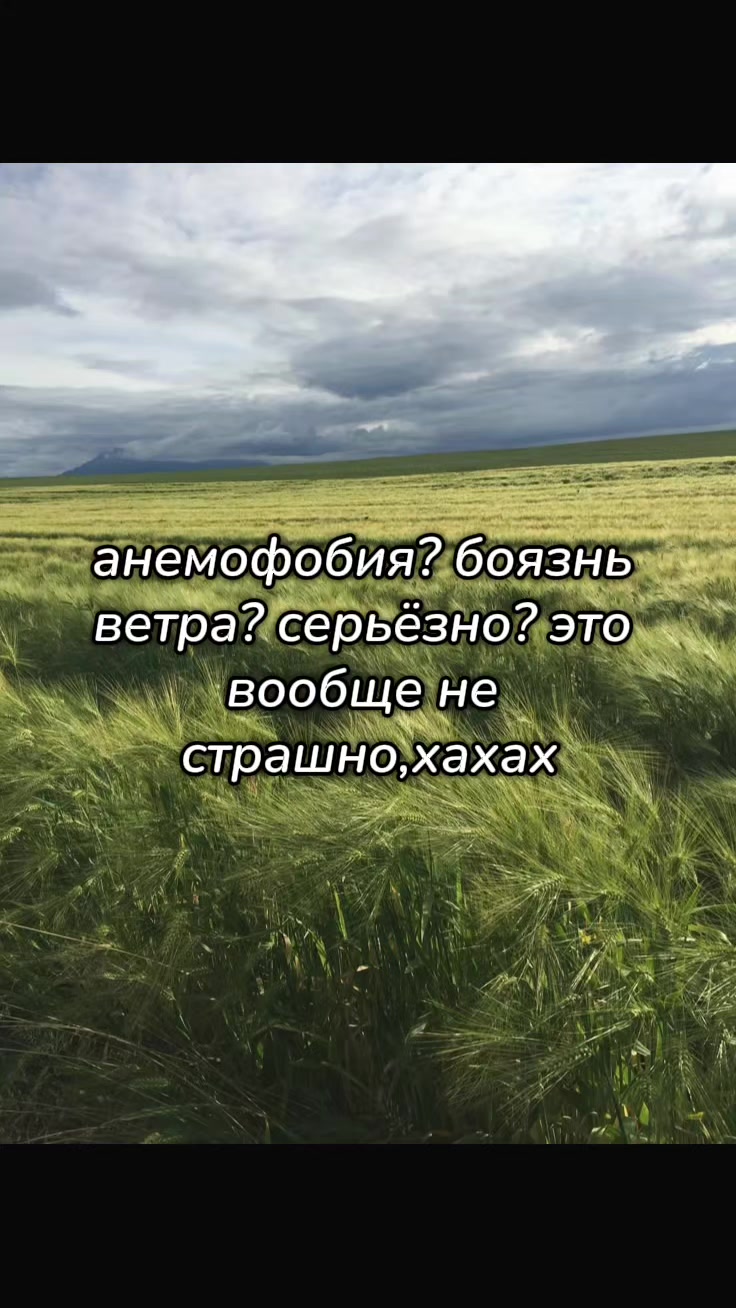@🍥🍙мисаки🍡🍧