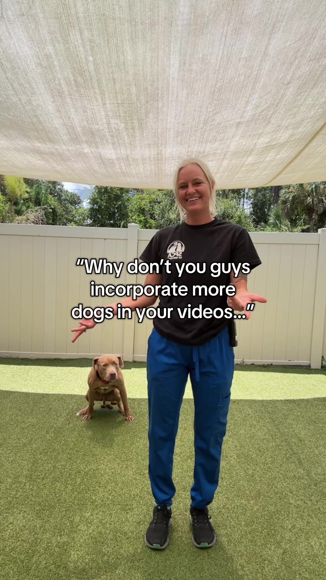 @2vettechs