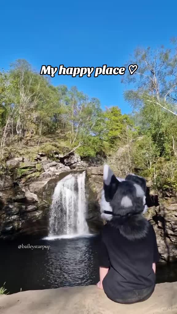 @Bailey (lilpixiekitten)